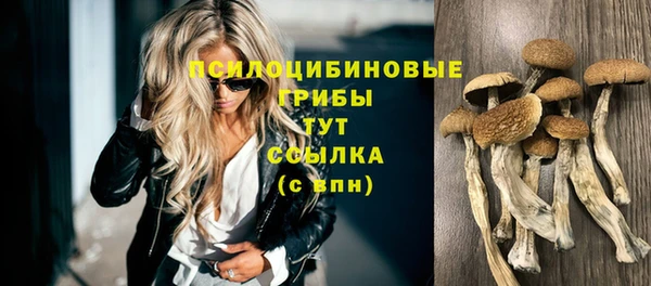 кокаин Бородино