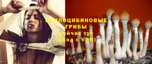 марки lsd Бугульма